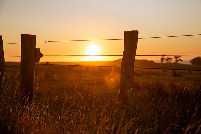 Modeling water availability during droughts in the Texas-Gulf region