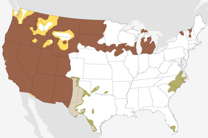 June 2021 U.S. climate outlook: Wetter- and cooler-than-average start to summer for the Southeast and Gulf Coast