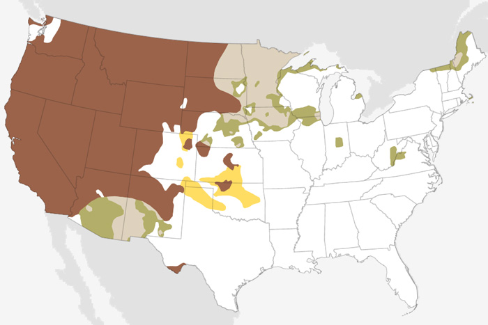 September 2021 U.S. Climate Outlook: A wet East Coast, with hotter- and drier-than-average conditions likely out West