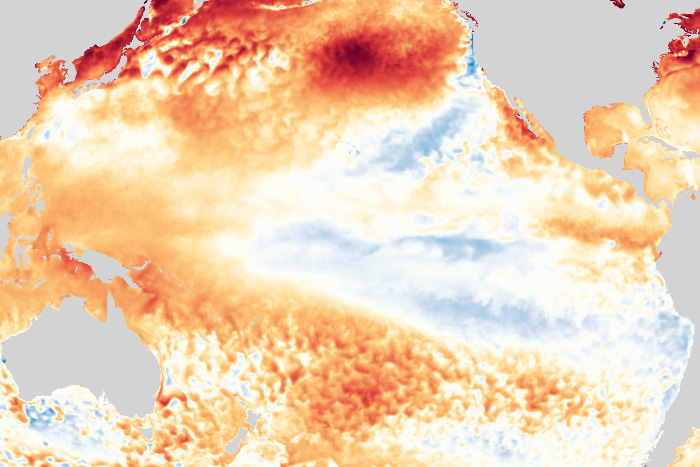 September 2021 ENSO update: feeling groovy