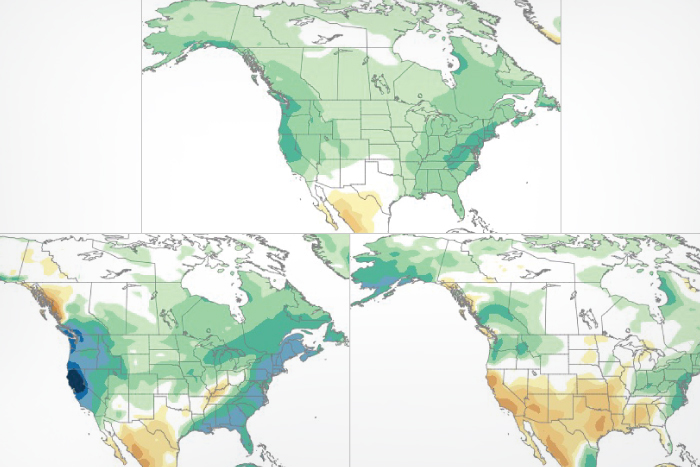 Variable Walks In Our Climate Forest