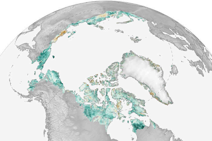 2021 Arctic Report Card: Strong greening trend continues across Arctic tundra