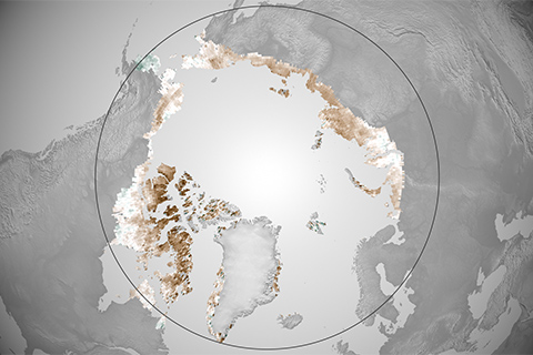 Arctic tundra “browning down” over past few years