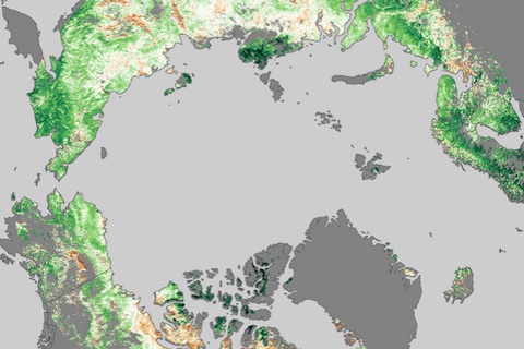 High-latitude growing season getting longer