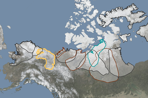 2018 Arctic Report Card: Reindeer and caribou populations continue to decline