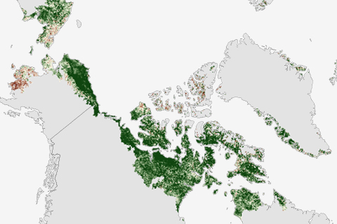 2013 Arctic Report Card: Greener Arctic of recent years likely to be the new normal