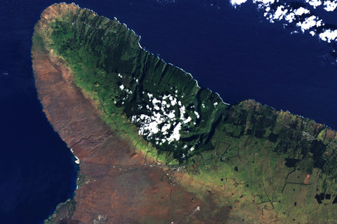 Rain Shadows on the Summits of Hawaii