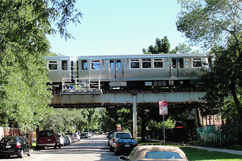 Local group fortifying Chicago's urban forest and building city's climate resilience