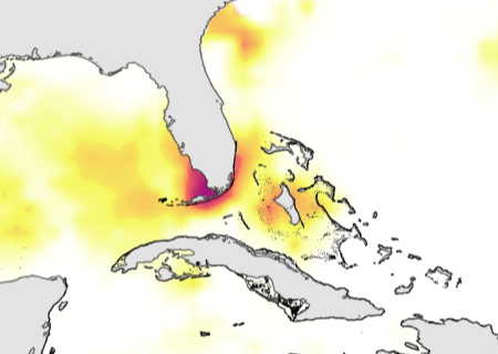 2014 surprisingly rough on coral reefs, and El Niño looms in 2015