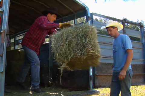 Using climate data to protect growers and ranchers