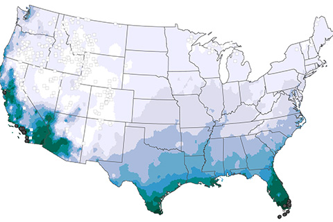 Bad news for Southeast peaches: Something freezing this way came 