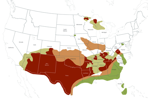 Drought Outlook, September-November 2011