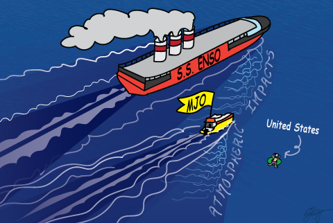 Catch a wave: how waves from the MJO and ENSO impact U.S. rainfall 