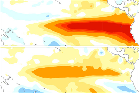 ENSO Flavor of the Month