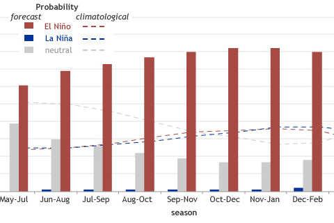 Why do ENSO forecasts use probabilities?