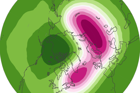 On the sudden stratospheric warming and polar vortex of early 2021