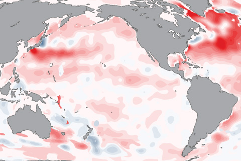 The role of the ocean in tempering global warming