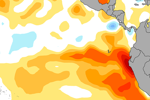 ENSO forecasters in offices getting coffee