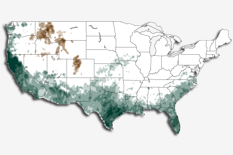 October 2015 El Niño update: Pumpkin spice