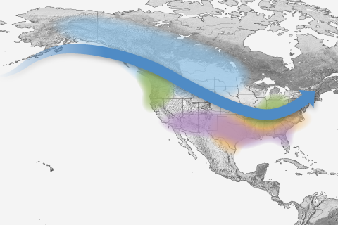 Climate.gov's most requested El Niño and La Niña images