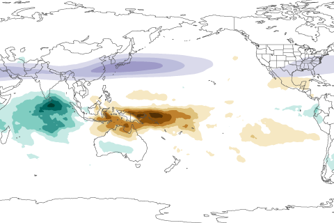 No butterflies, just tropical rainfall