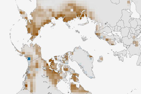 2012 State of the Climate: Snow in the Northern Hemisphere