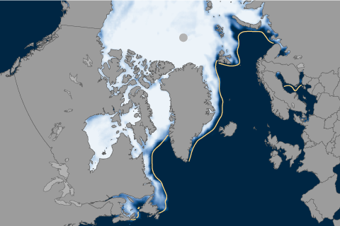 Arctic sea ice winter maximum may be smallest on record