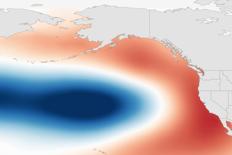 Going out for ice cream: a first date with the Pacific Decadal Oscillation