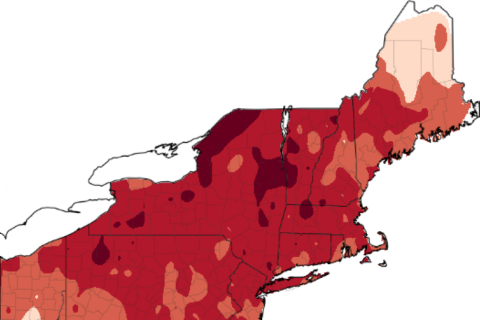 In the Northeast, just one cold day can keep the apples away