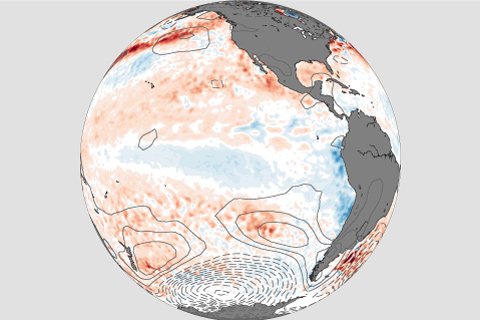 Look South, ENSO Forecasters!