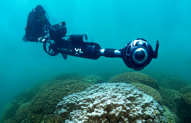 Survey Photos Reveal Damage Of This Year’s Global Coral Bleaching Event ...