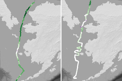 Saildrones monitor plant growth and acidification in remote Arctic waters 