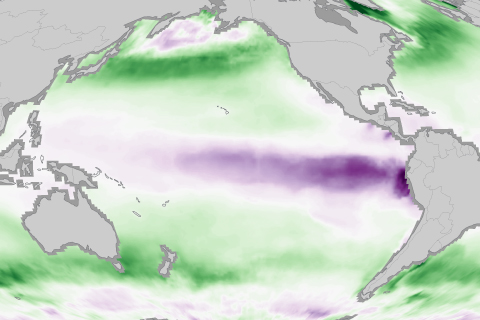 2017 State of the climate: Ocean uptake of human-produced carbon