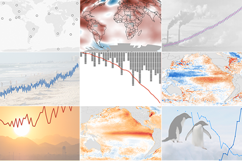 2015 State of the Climate: Highlights