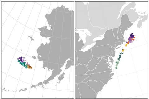 In search of cooler waters, marine species are shifting northward or diving deeper