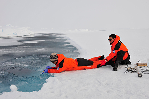 Research shows ocean acidification is spreading rapidly in the Arctic