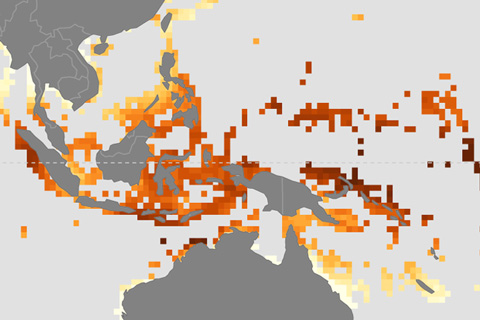 No safe haven for coral from the combined impacts of warming and ocean acidification