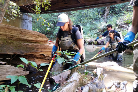 Dam bypass spells victory for Russian River salmon