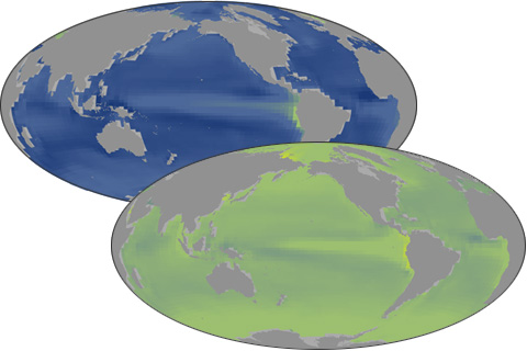 Ocean Acidification, Today and in the Future