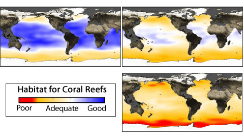 Ocean Acidification: The Other Carbon Problem