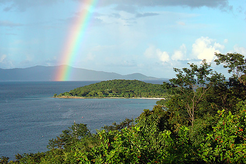 Hope in the Face of a Caribbean Coral Crisis