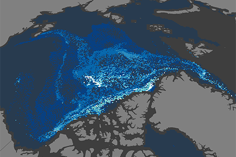 Old sea ice continues disappearing from the Arctic Ocean