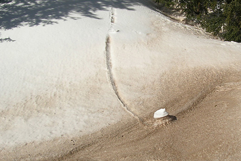 Dust on Snow Reduces Colorado River Flow