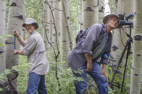 A conversation with Leander Anderegg: NOAA postdoc, tree physiologist, outdoorsman