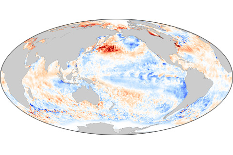 Summer Interlude Over, La Niña Resumes in the Pacific