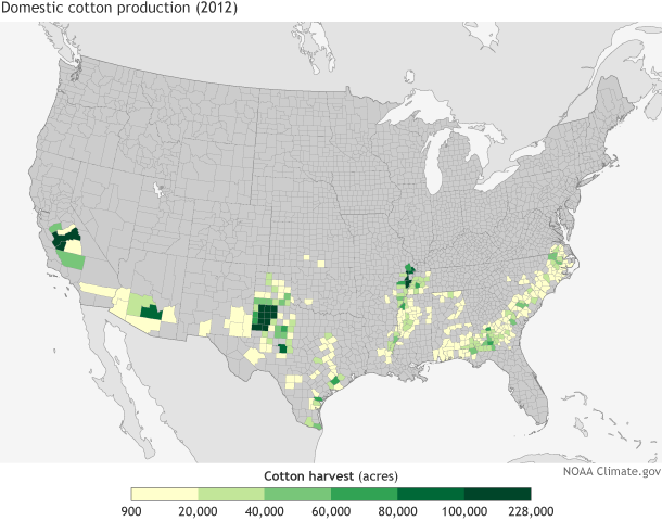 2012 cotton harvest