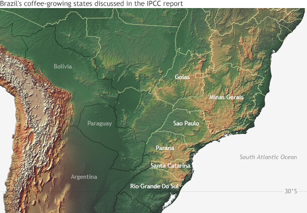 Brazil coffee growing