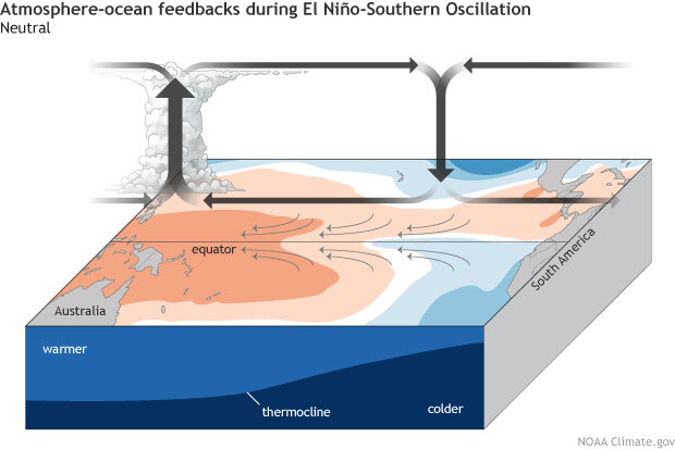 Neutral ENSO conditions