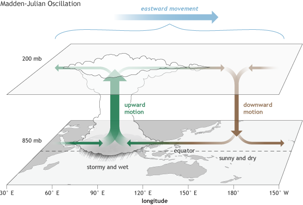 MJO diagram