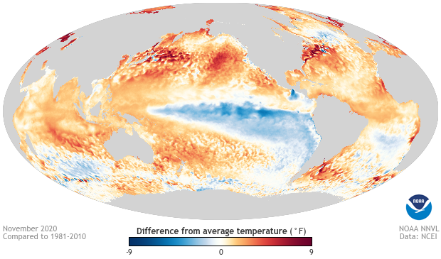 Sea surface temperature map